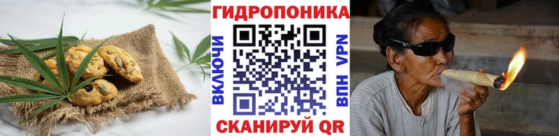 shop телеграм  Камышин  Еда ТГК конопля 