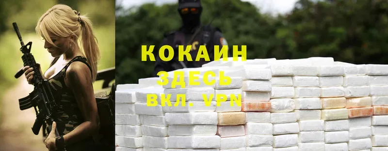 Cocaine 99%  купить   Камышин 