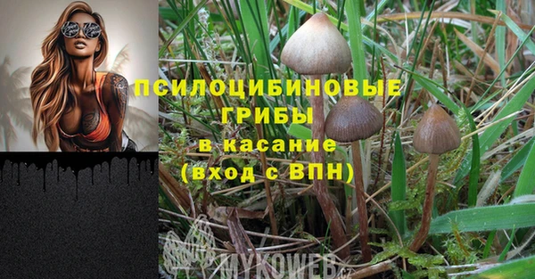 ALPHA PVP Остров
