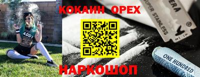 прущие грибы Абакан