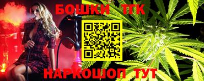 гашик Абинск