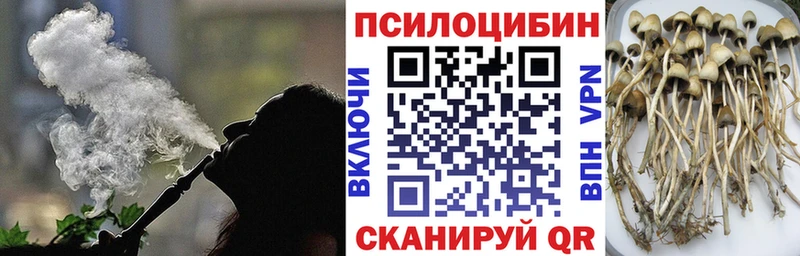Псилоцибиновые грибы Cubensis Камышин