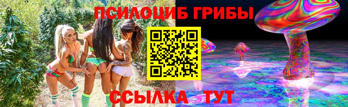 Псилоцибиновые грибы ЛСД  Камышин  закладки  Галлюциногенные грибы ЛСД 