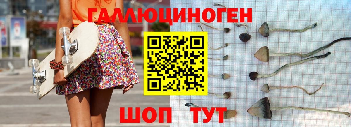 Галлюциногенные грибы мицелий Камышин