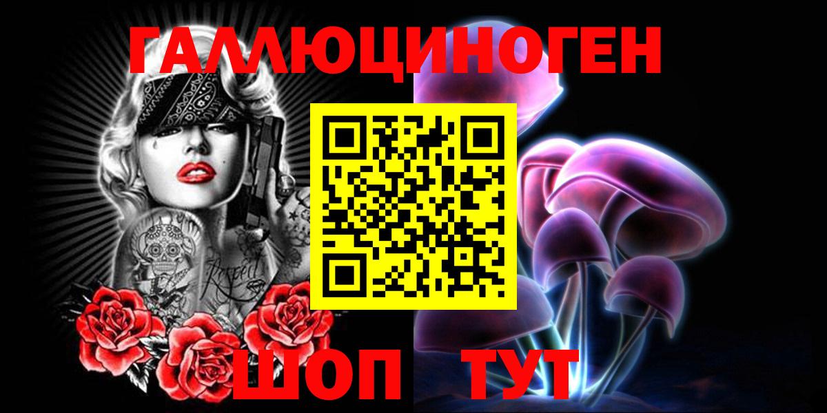 А ПВП Камышин