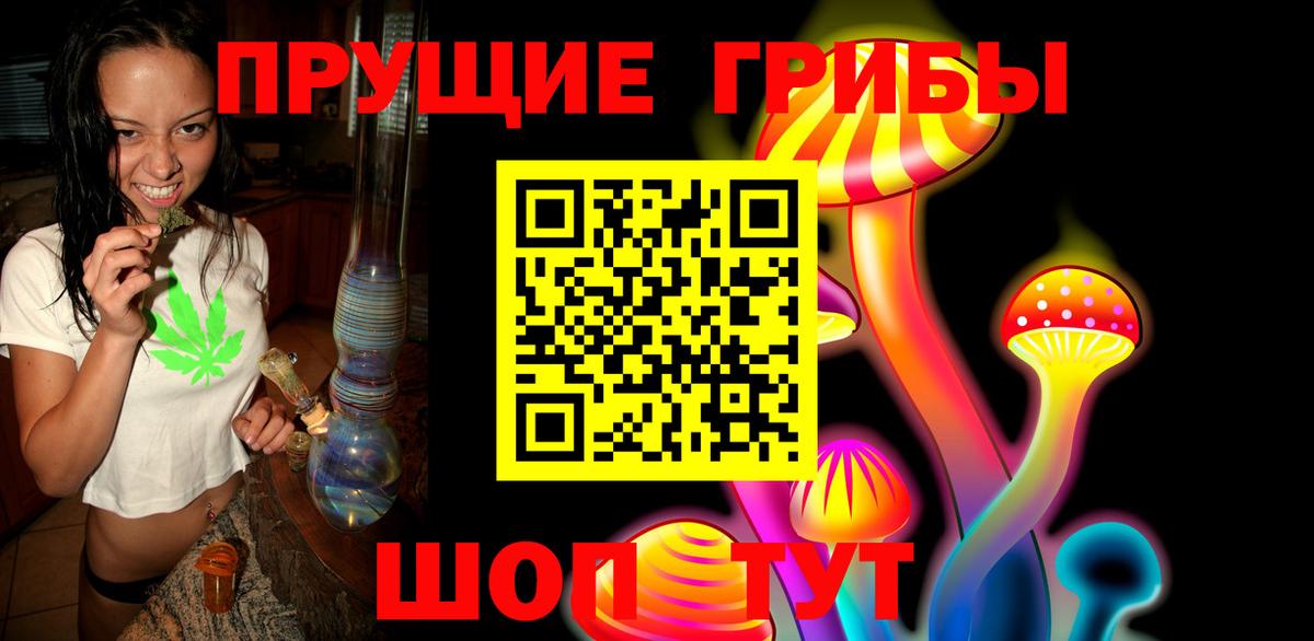 Псилоцибиновые грибы MAGIC MUSHROOMS  Вход с VPN  Камышин 